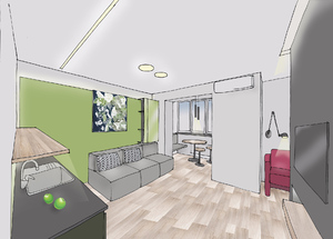 Заказать в г. Торонто персональный интерьер жилого пространства   online . Кухня-гостиная 17м2